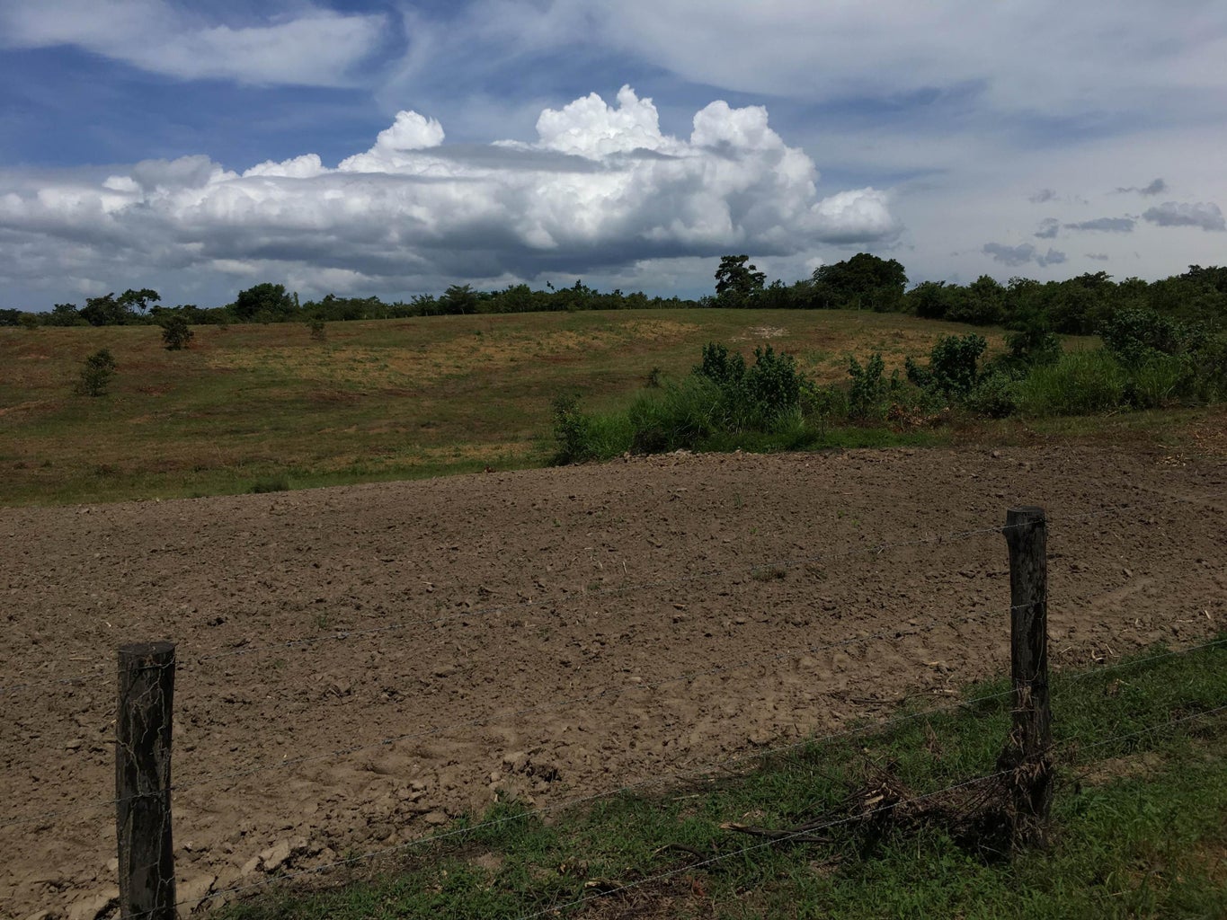 Commercial Property for Sale in SanCarlos Panamá Province 07033